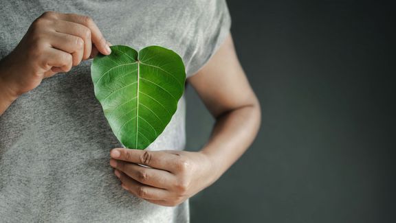 Eine Person hält ein herzförmiges grünes Blatt vor sich auf der Höhe ihres Herzens. 